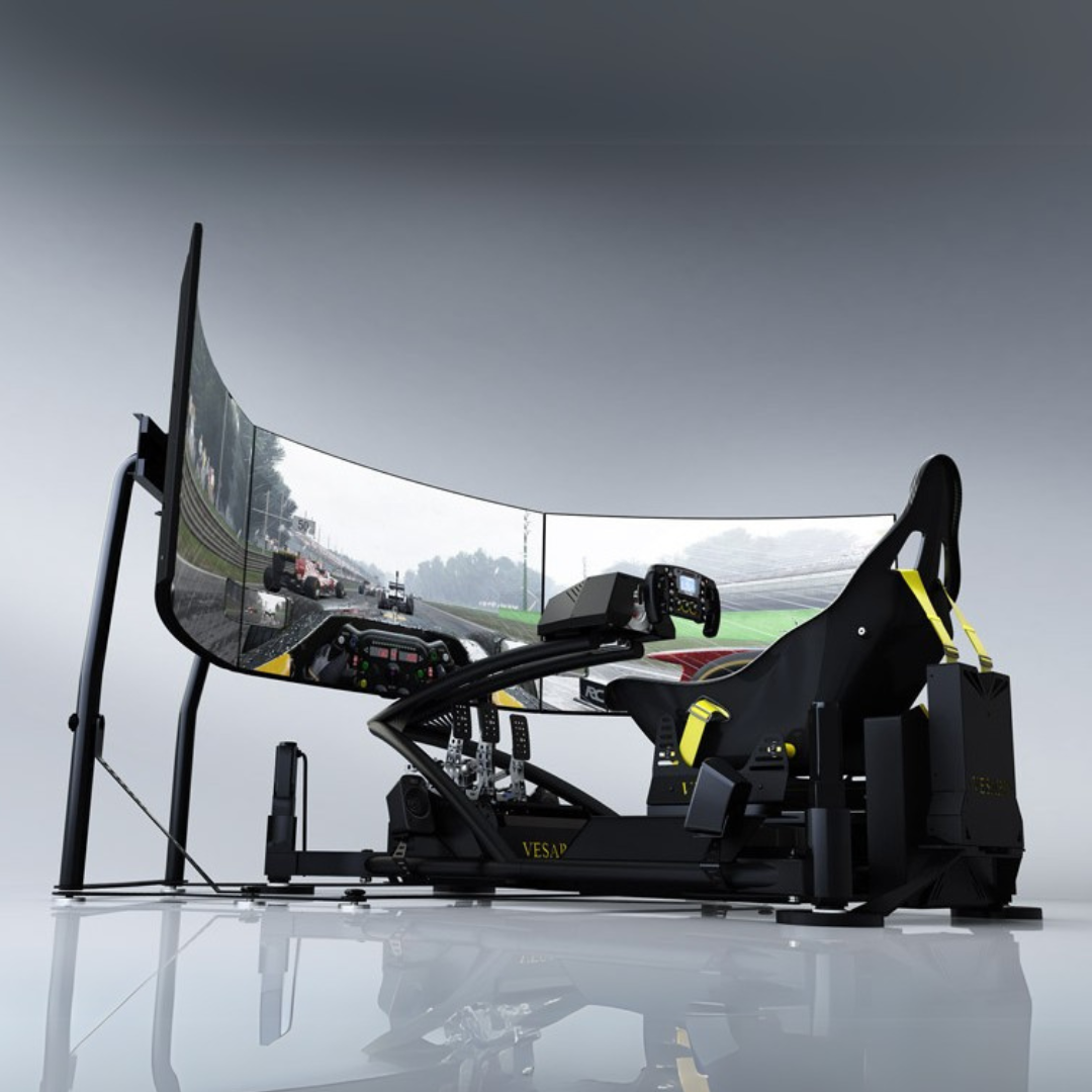 Professional Formula Stage 4 Racing Simulator