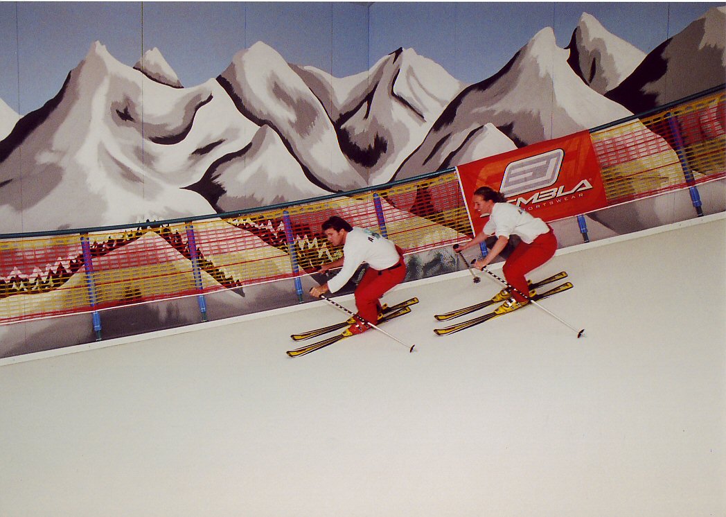 SkiMachine Disc Slope Ski Simulator