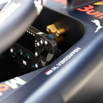 Oracle Red Bull Racing RB18 F1 Team Simulator - Championship Edition