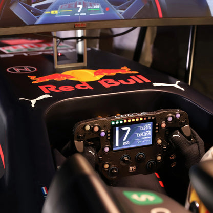 Oracle Red Bull Racing RB18 F1 Team Simulator - Championship Edition