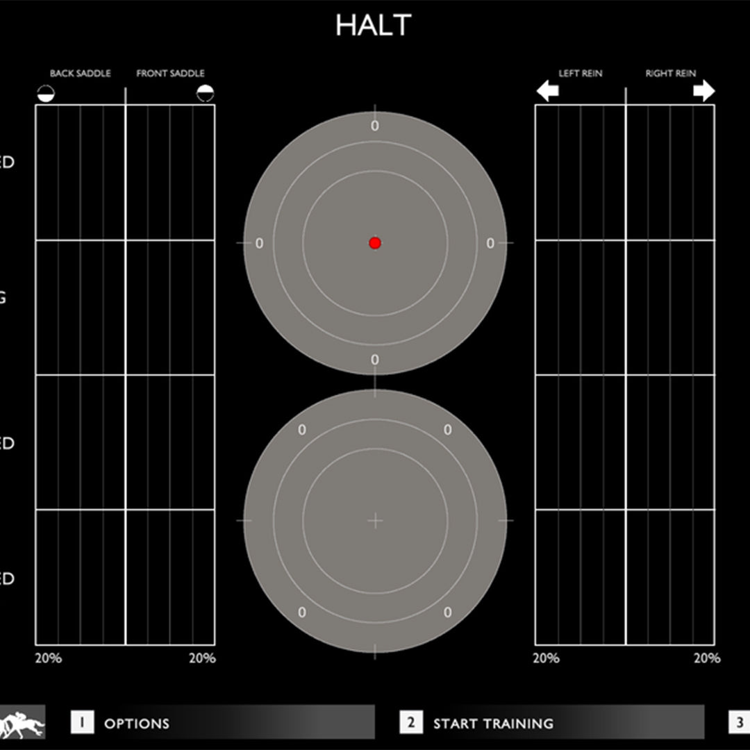 Racewood Interactive Dressage Equestrian Simulator