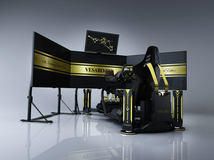 Vesaro TEN Racing Simulator 