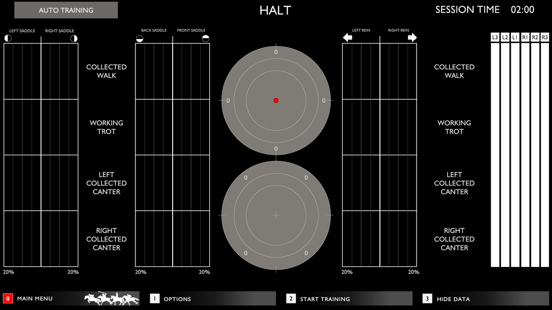 Racewood Interactive Dressage Equestrian Simulator