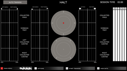 Racewood Interactive Dressage Equestrian Simulator