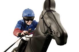 Racewood Jockey Challenge Racehorse Simulator