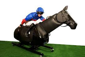 Racewood MK10 Racehorse Simulator