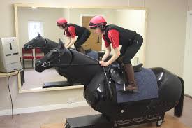 Racewood Riding Equestrian Simulator