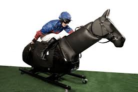 Racewood Jockey Challenge Racehorse Simulator