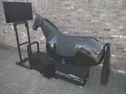 Racewood RT Racetrainer Equestrian Simulator