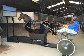 Racewood RT Racetrainer Equestrian Simulator