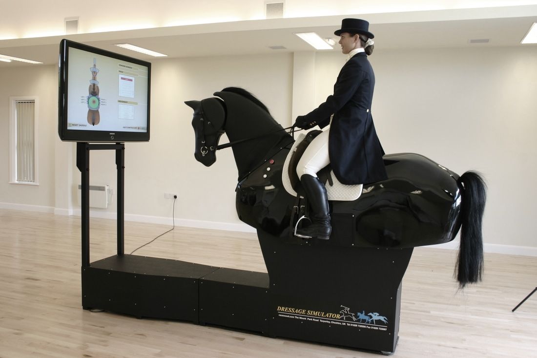 Racewood Riding Equestrian Simulator