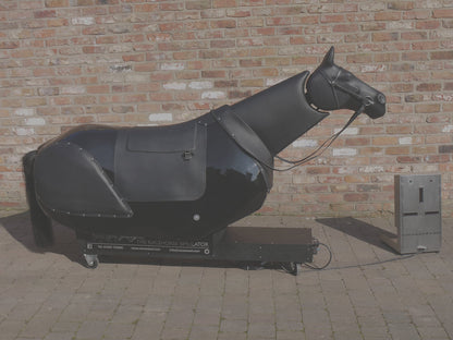 Racewood RT Racetrainer Equestrian Simulator