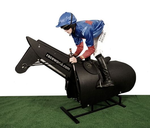 Racewood RS Racetrainer Equestrian Simulator