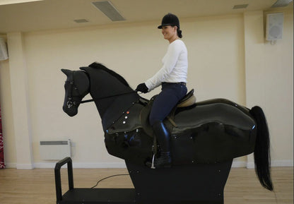 Racewood Riding Equestrian Simulator